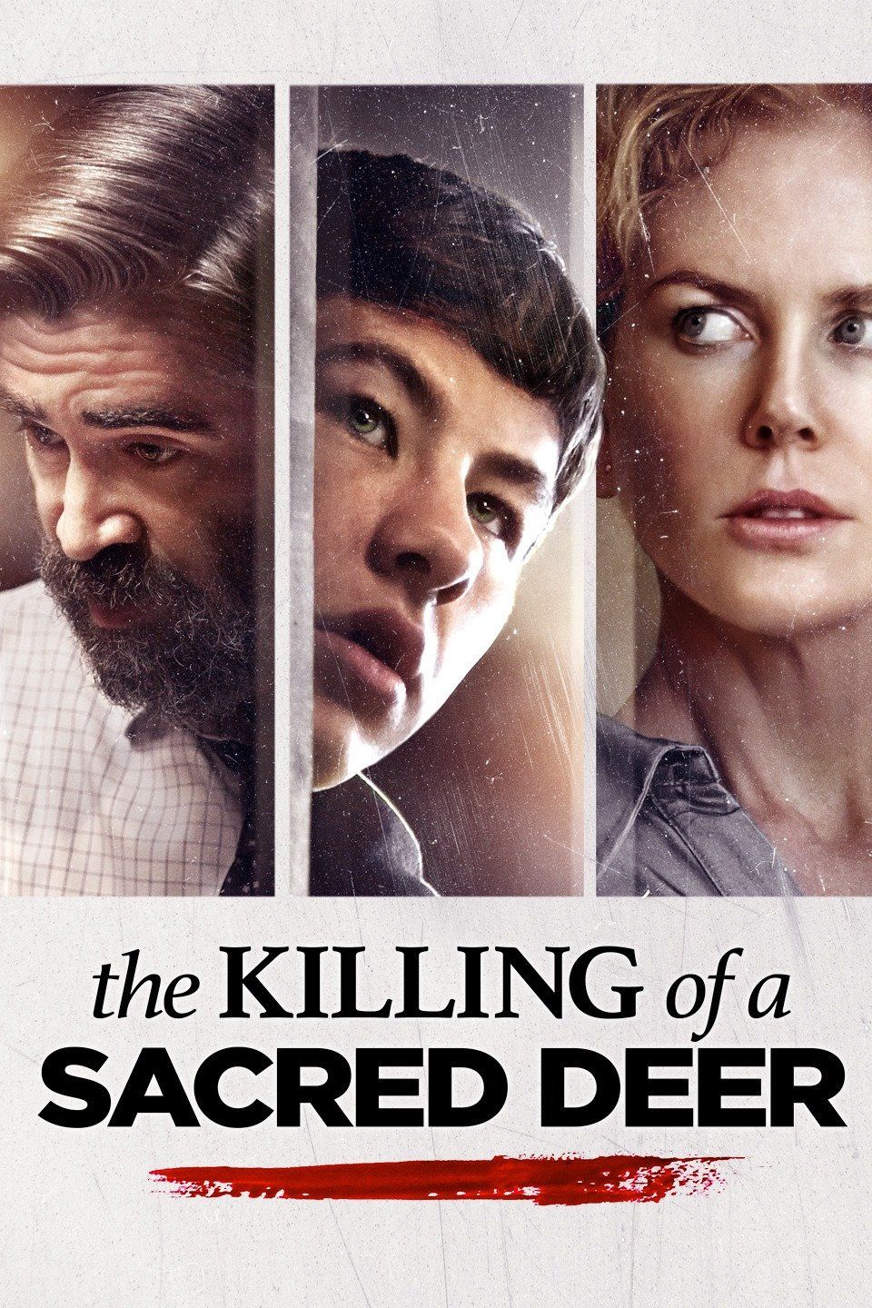 killing of a sacred deer image