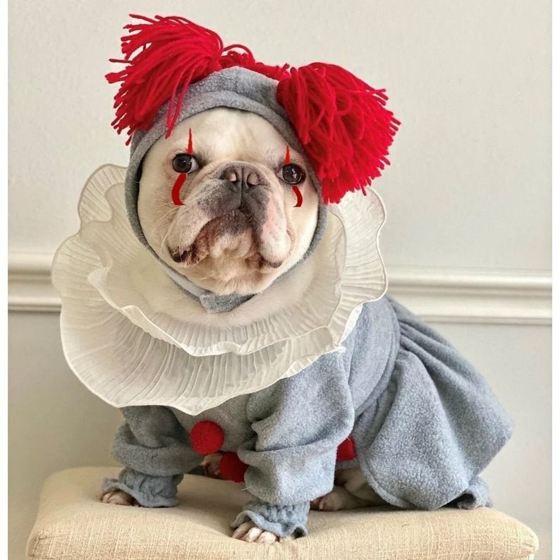 a bulldog wearing an IT costume