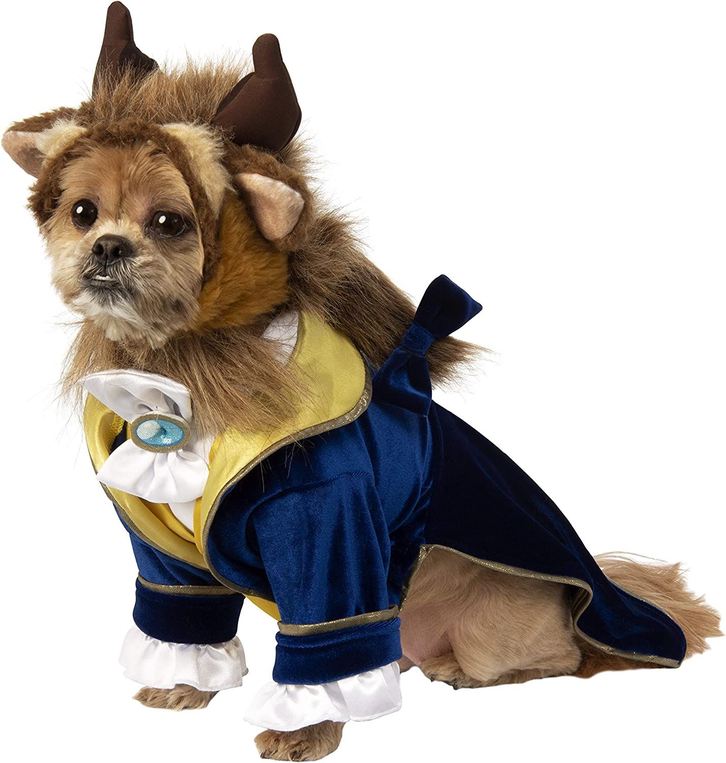 a photo of a dog wearing a Beast costume