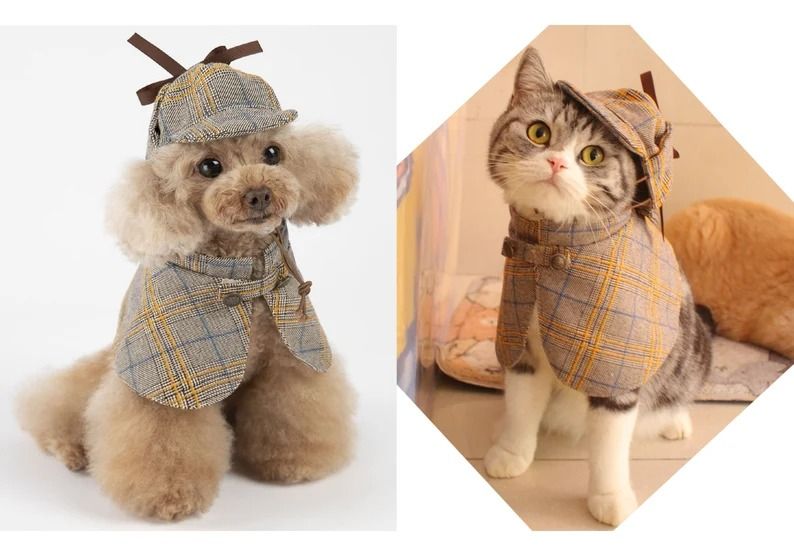 photo of a dog and cat wearing a Sherlock costume