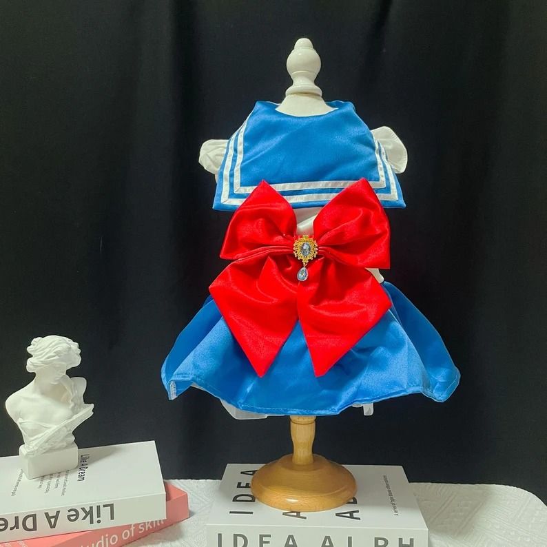 a photo of a tiny Sailor Moon costume