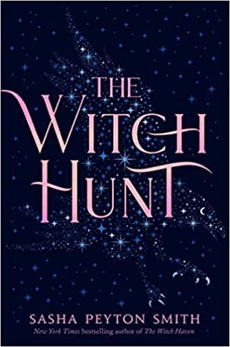 the witch hunt book cover