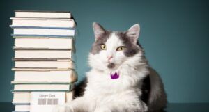 a white and gray cat next to a stack of books and a library card