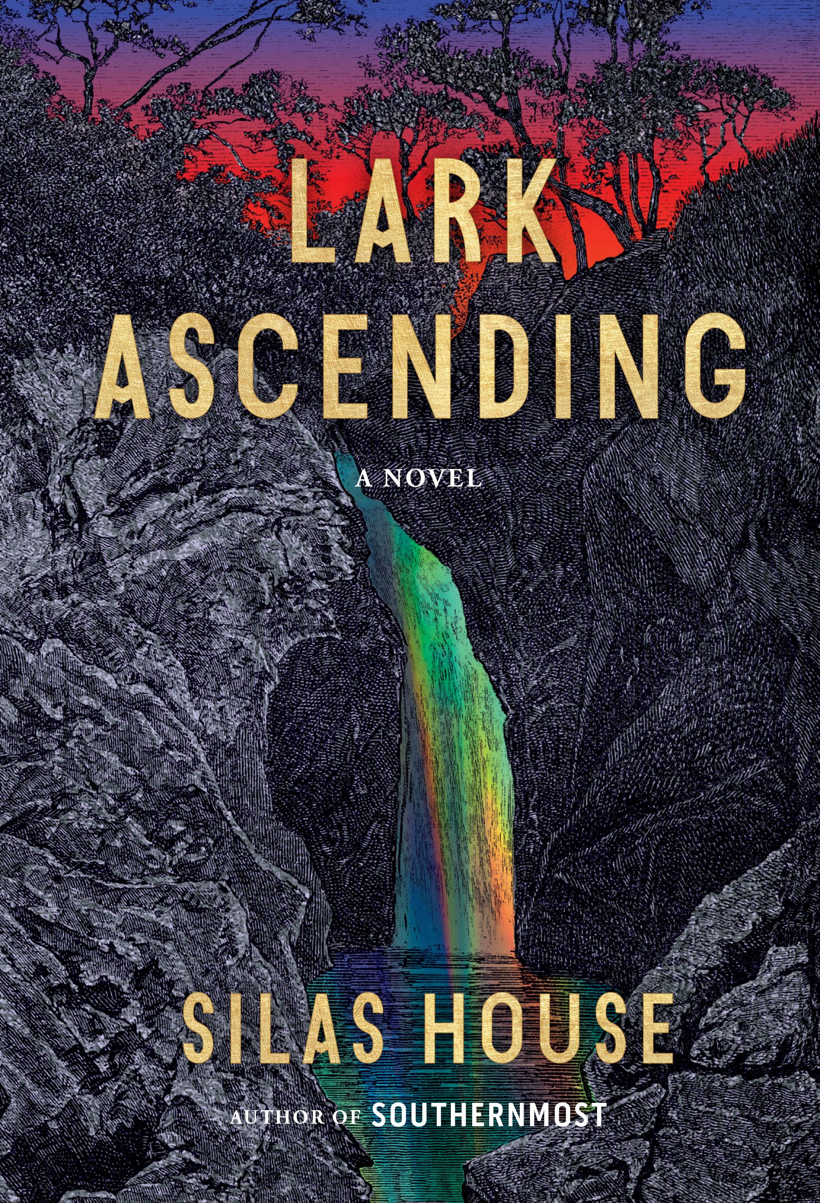 Book cover for Lark Ascending