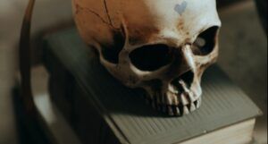 skull on books