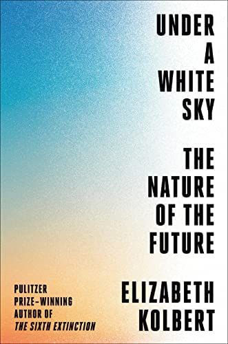 Book cover for Under a White Sky