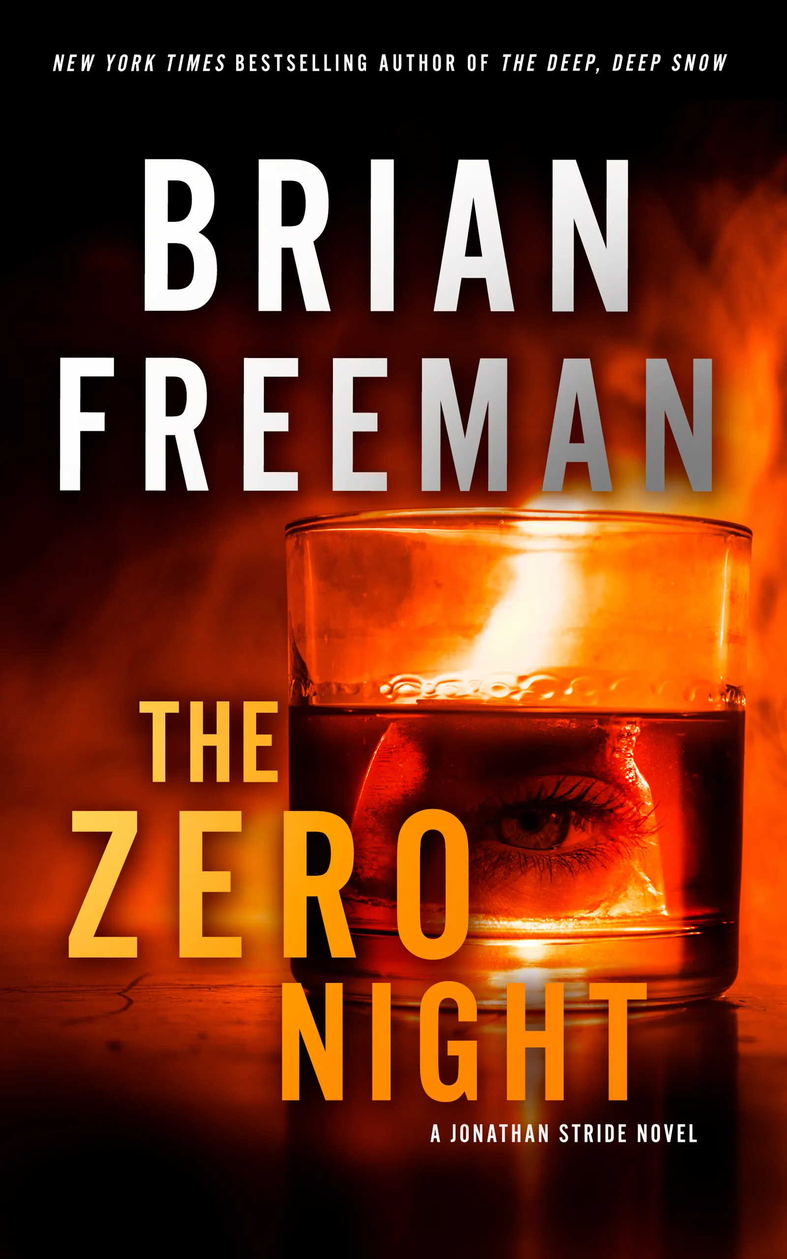 Book cover of The Zero Night by Brian Freeman