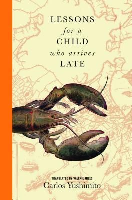 Lessons for a Child Who Arrives Late book cover