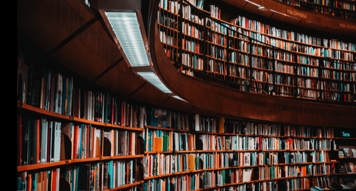 library with brown shelves