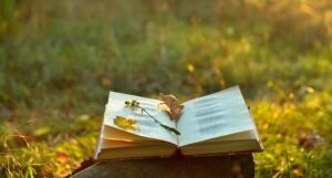 image of an open book on an open field