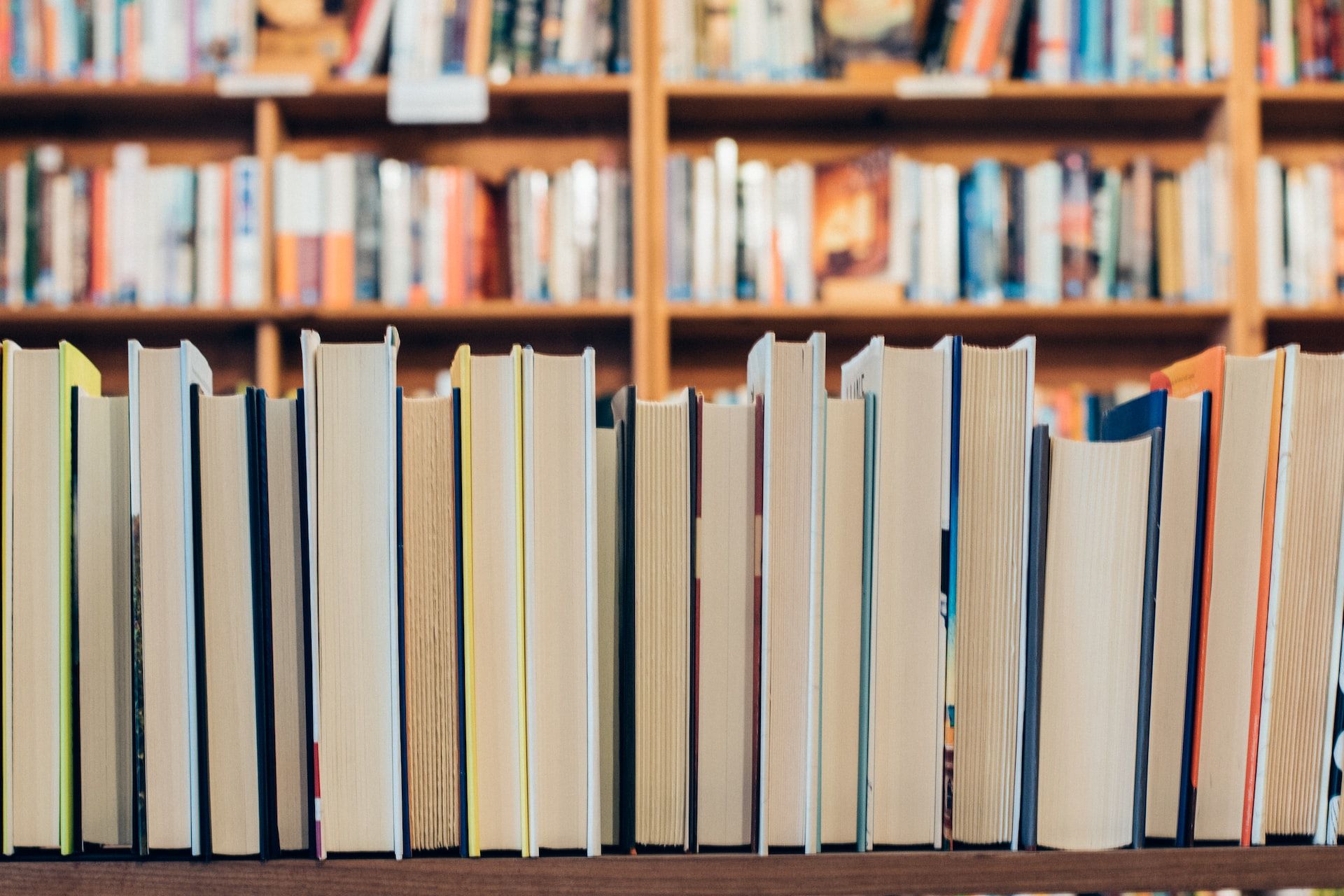 a shelf of books shot from behind