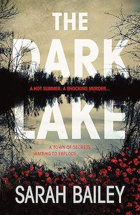 The Dark Lake cover