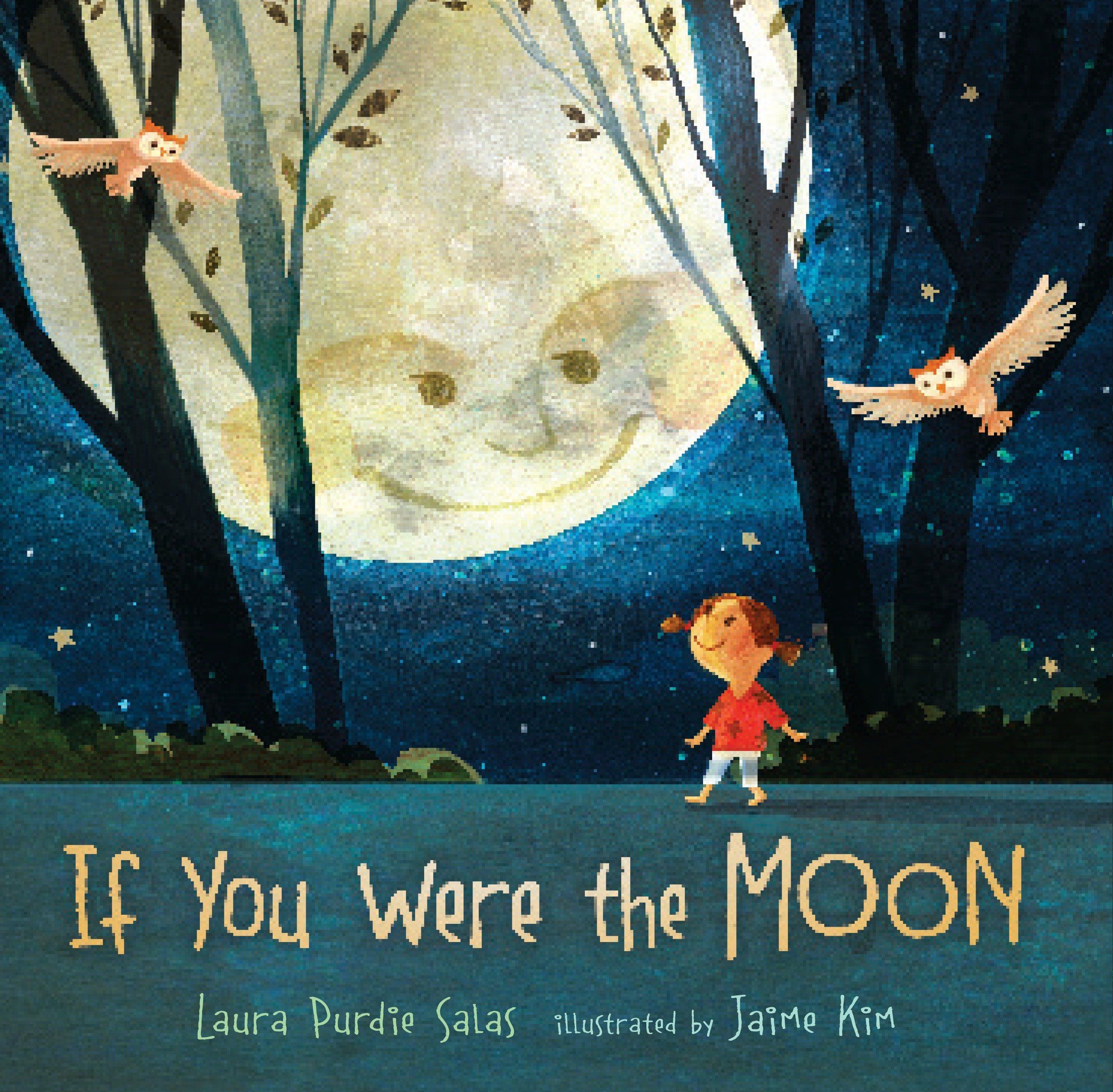 Book cover of If You Were the Moon by Laura Purdie Salas