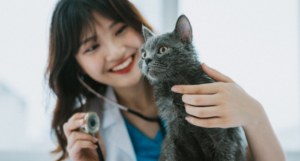 a photo of a smiling veterinarian holding a stethoscope up to a kitten