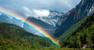 rainbow in a forest by a lake