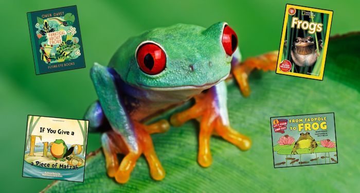 frog books arranged around a green tree frog on a leaf