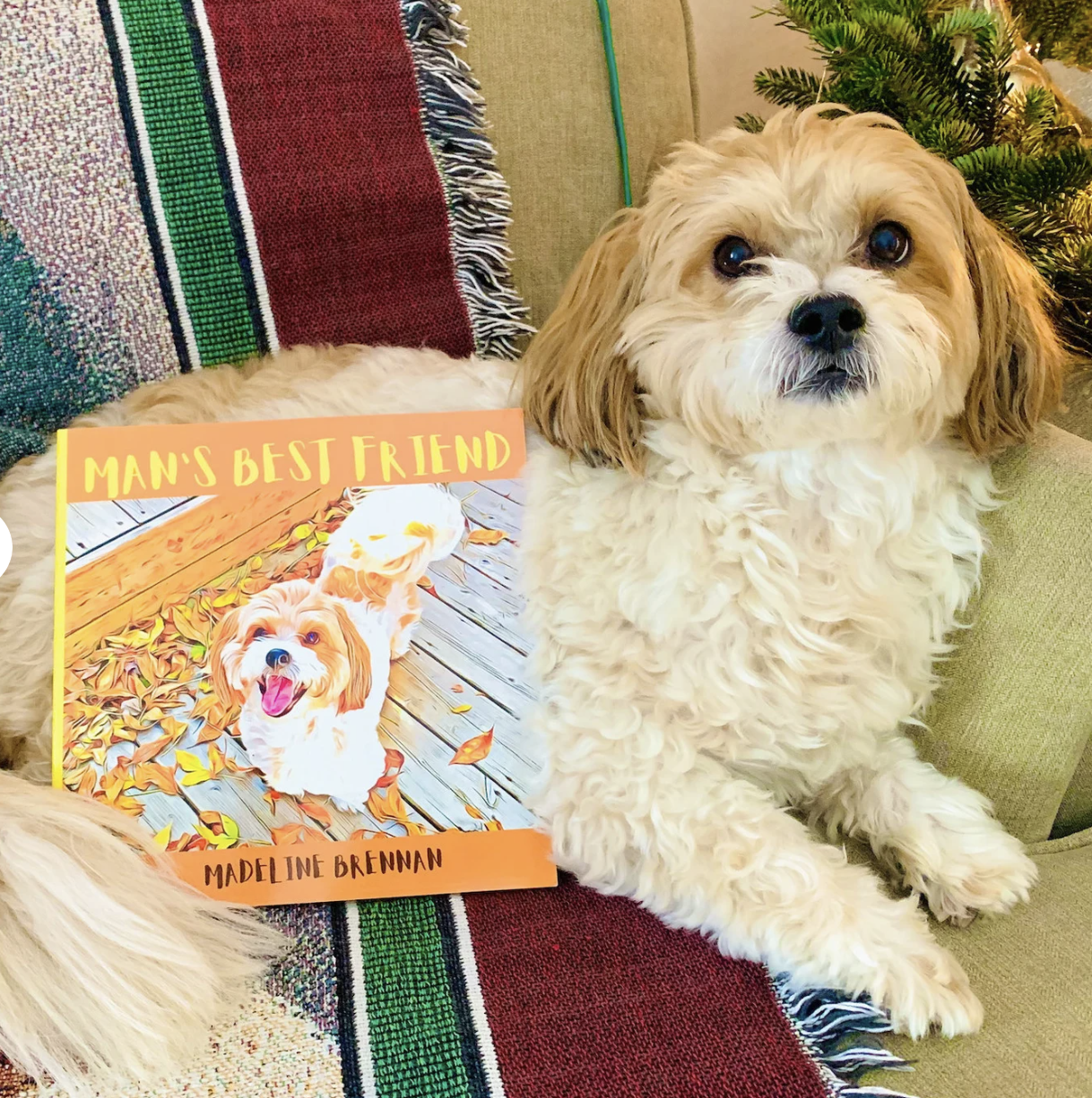 A tan and white fluffy dog posing with a picture book with the dog's picture on it titled "Man's Best Friend"