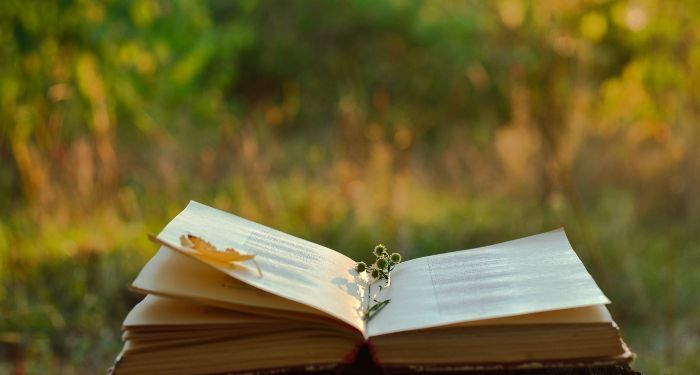 a vintage book of poetry with grass and trees in the background