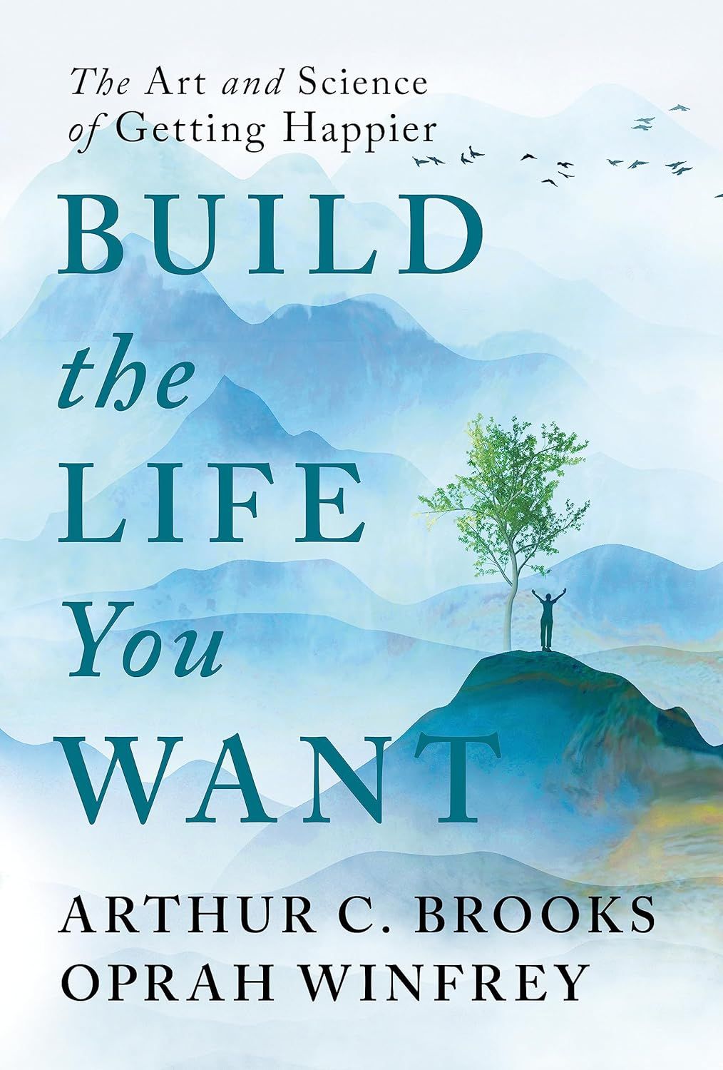 the cover of Build the Life You Want