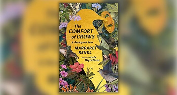 Book cover of The Comfort of Crows by Margaret Renkl