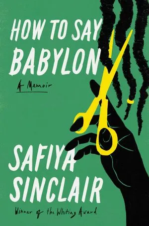 cover of How to Say Babylon