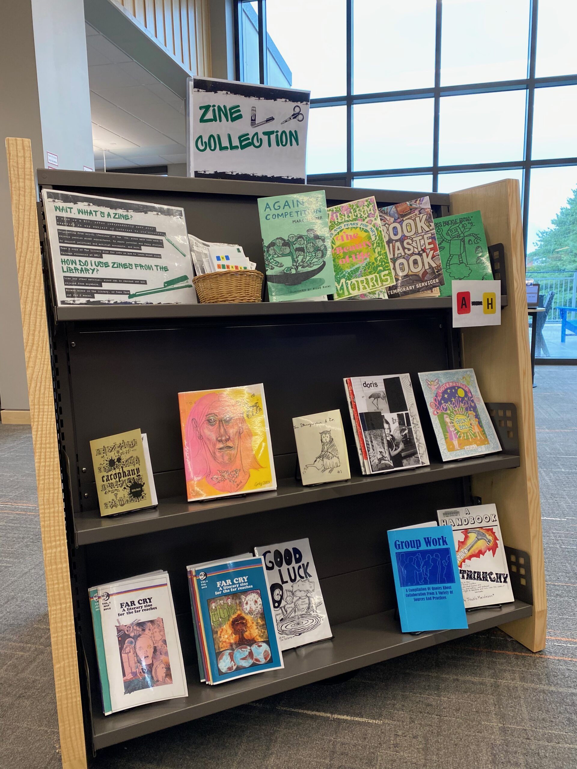 A shelf of zines in a library, facing out, with a sign saying 'Zine Collection" at the top.