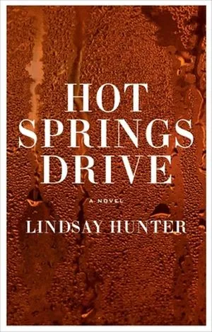 cover of Hot Springs Drive by Lindsay Hunter