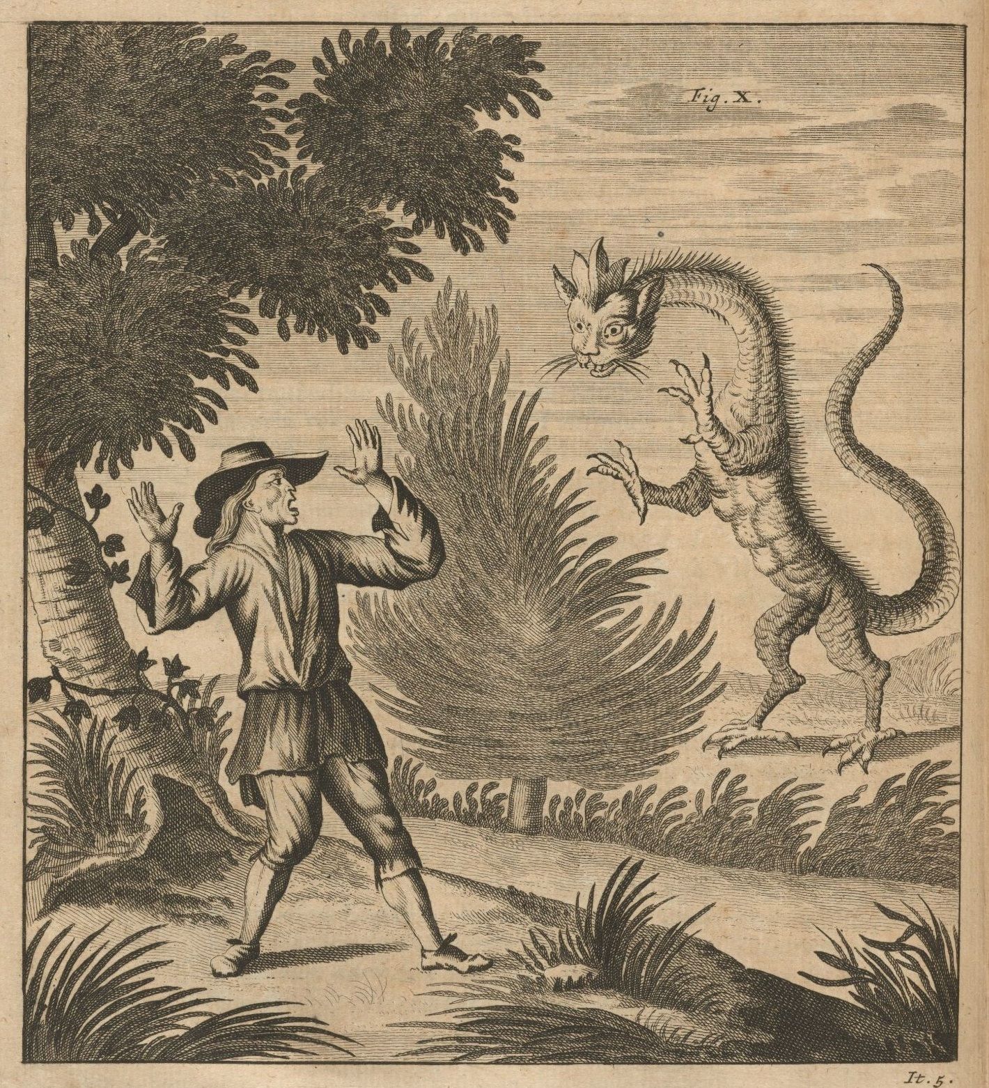 17th century drawing of a tatzelwurm