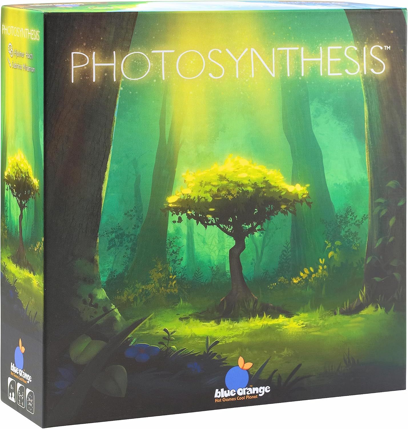 Photosynthesis Board Game