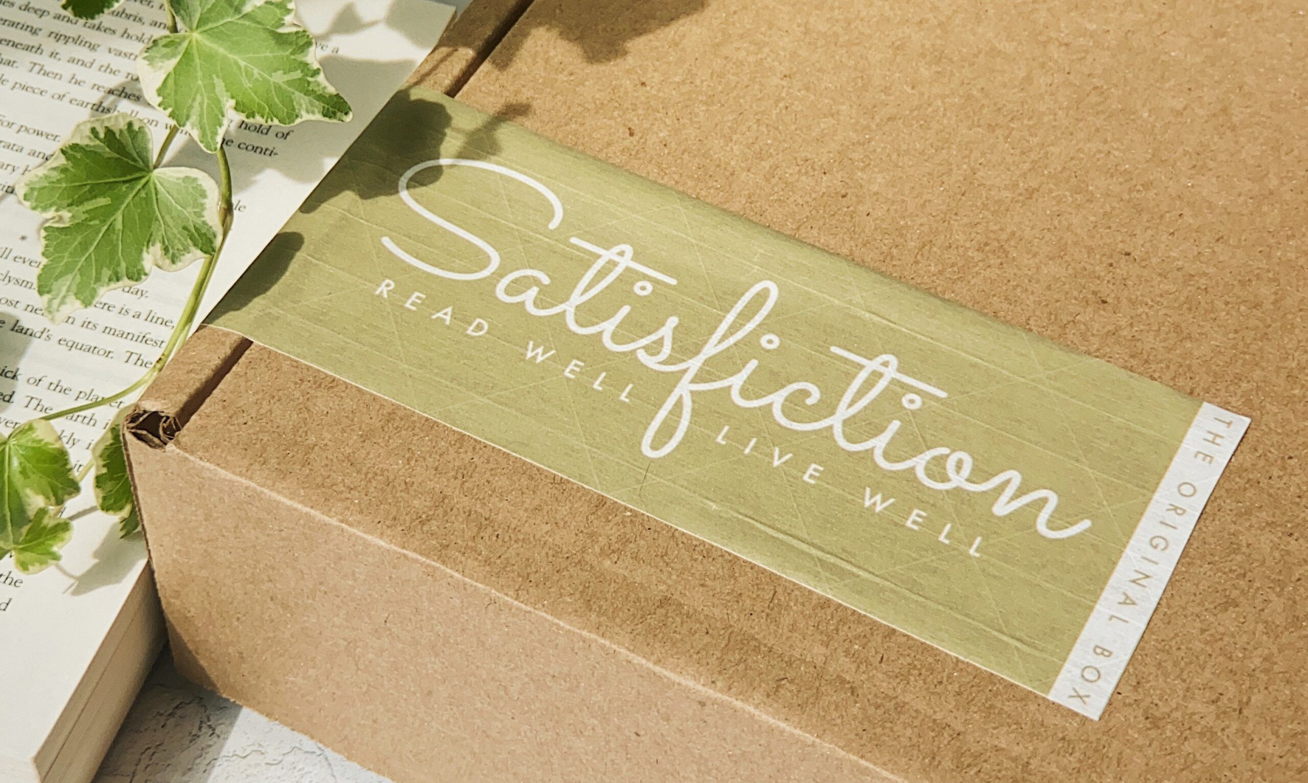 Satisfiction subscription box