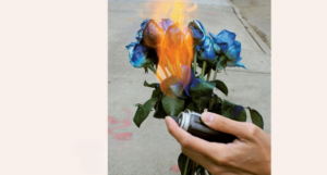 cropped cover of Mean Boys, showing a photo of a hand lighting a bouquet of blue roses in fire