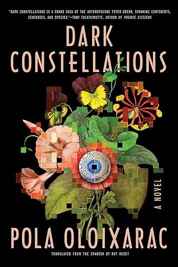 Dark Constellations book cover