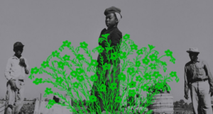 a cropped cover of Rooted, showing an illustration of green flowers overlaid on a black-and-white photo of Black people outdoors