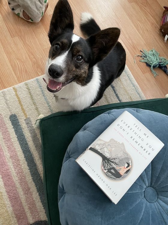 a photo of Gwen, a black and white Cardigan Welsh Corgi sitting next to a copy of the book Tell Me Everything You Don't Remember by Christine Hyung-Oak Lee