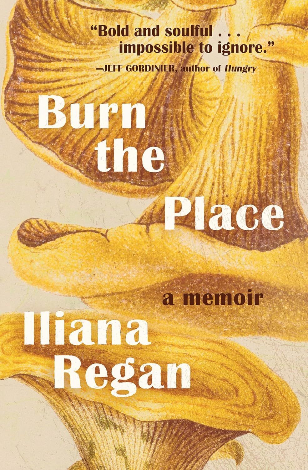 a graphic of the cover of Burn the Place