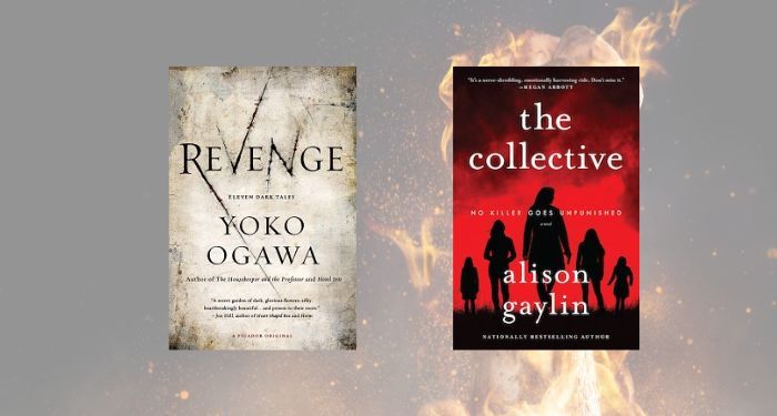 two revenge novel book covers