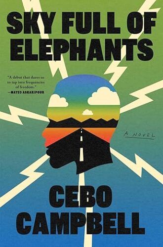 cover of Sky Full of Elephants by Cebo Campbell; illustration of outline of person's head with highway road running through the center