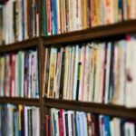 library shelves full of books