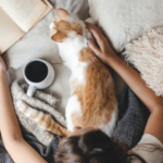 a person petting a cat while reading in bed