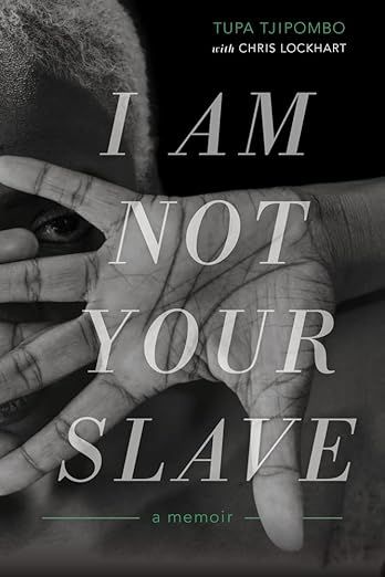 cover of i am not your slave