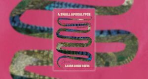 cover of A Small Apocalypse by Laura Chow Reeve