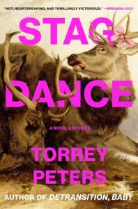 Stag Dance cover