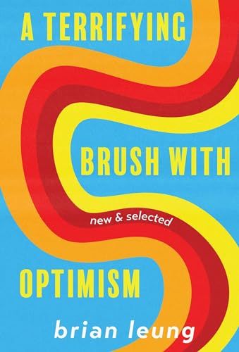 a terrifying brush with optimism book cover