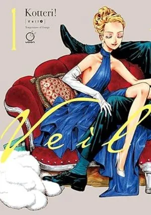Veil Vol 1 cover