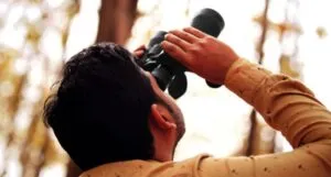 Image of an adult using binoculars to look up in a tree