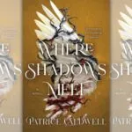 the cover of Where Shadows Meet