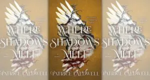 the cover of Where Shadows Meet
